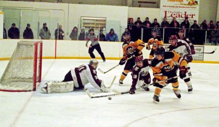 beavers2912.jpg beavers2912.jpg