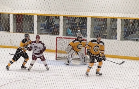 geese13.jpg geese13.jpg